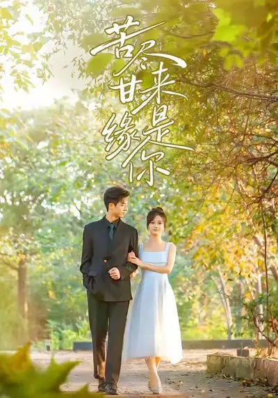 短剧《苦尽甘来缘是你》完整剧情全集免费在线观看