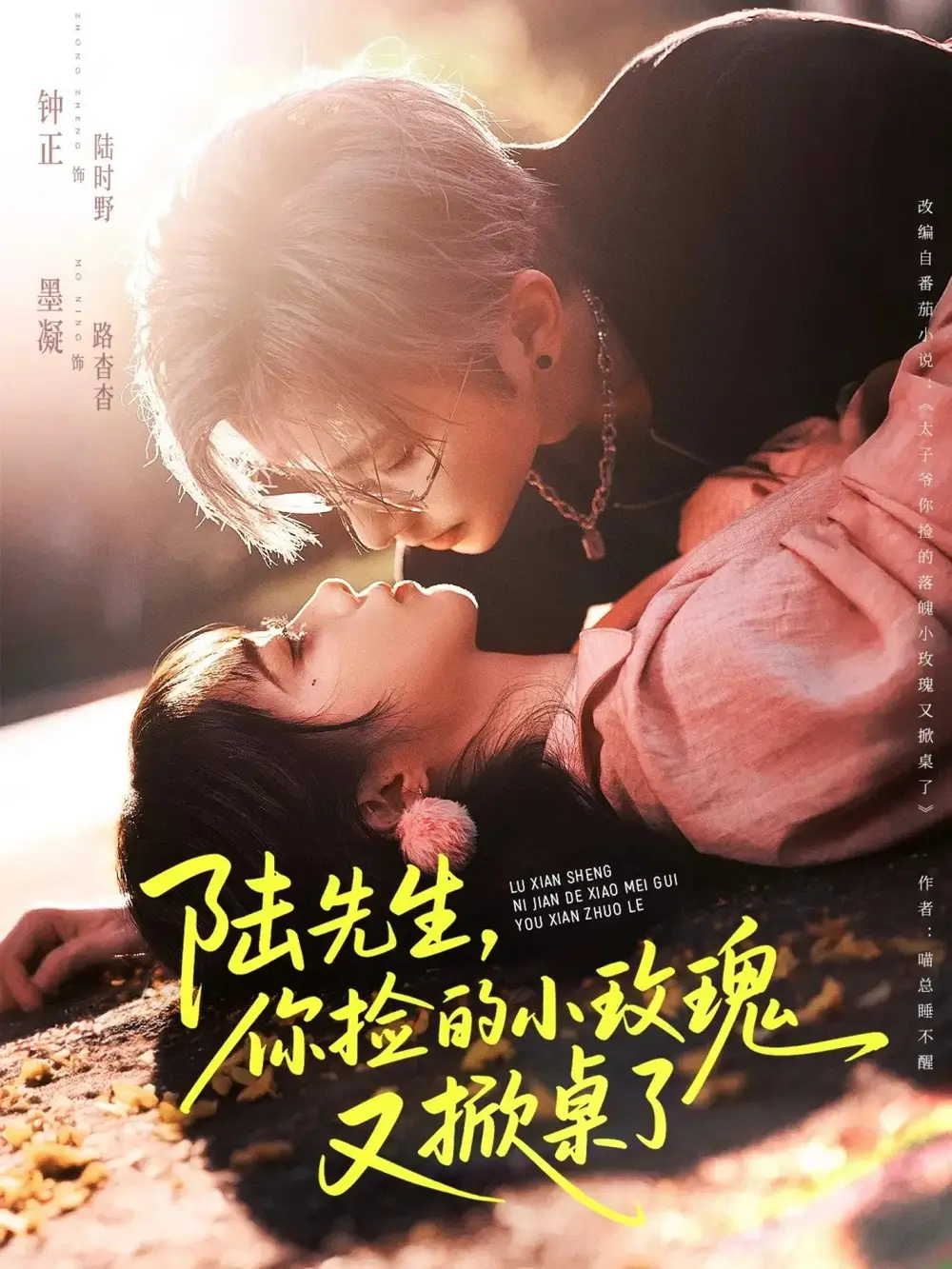 短剧《陆先生，你捡的小玫瑰又掀桌了》完整剧情全集免费在线观看