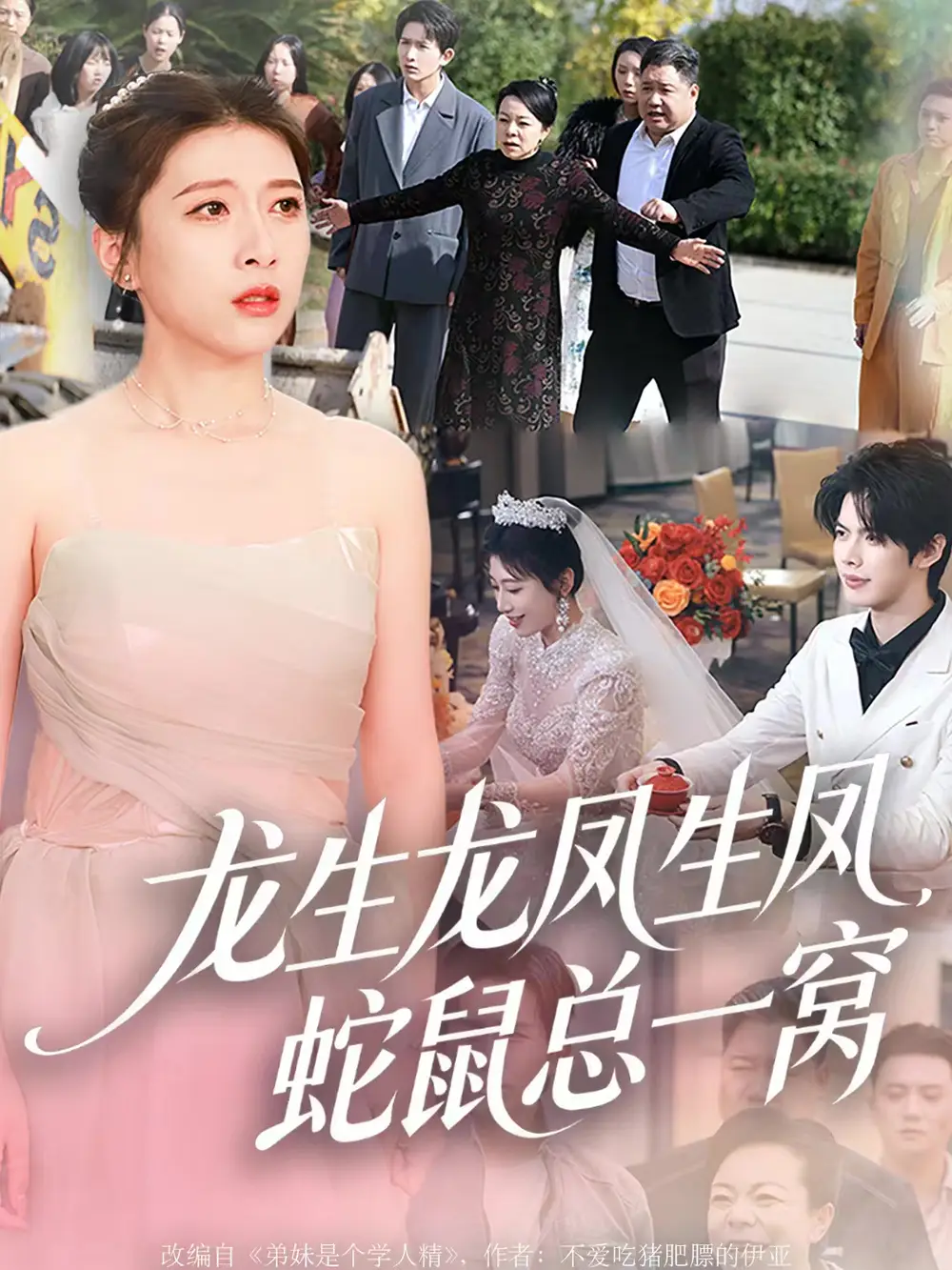 短剧《龙生龙凤生凤，蛇鼠总一窝》完整剧情全集免费在线观看